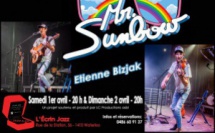 Mister Sunbow
